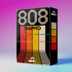 04_Sonify_808_Am_140Bpm