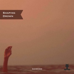 Shaping - Drown