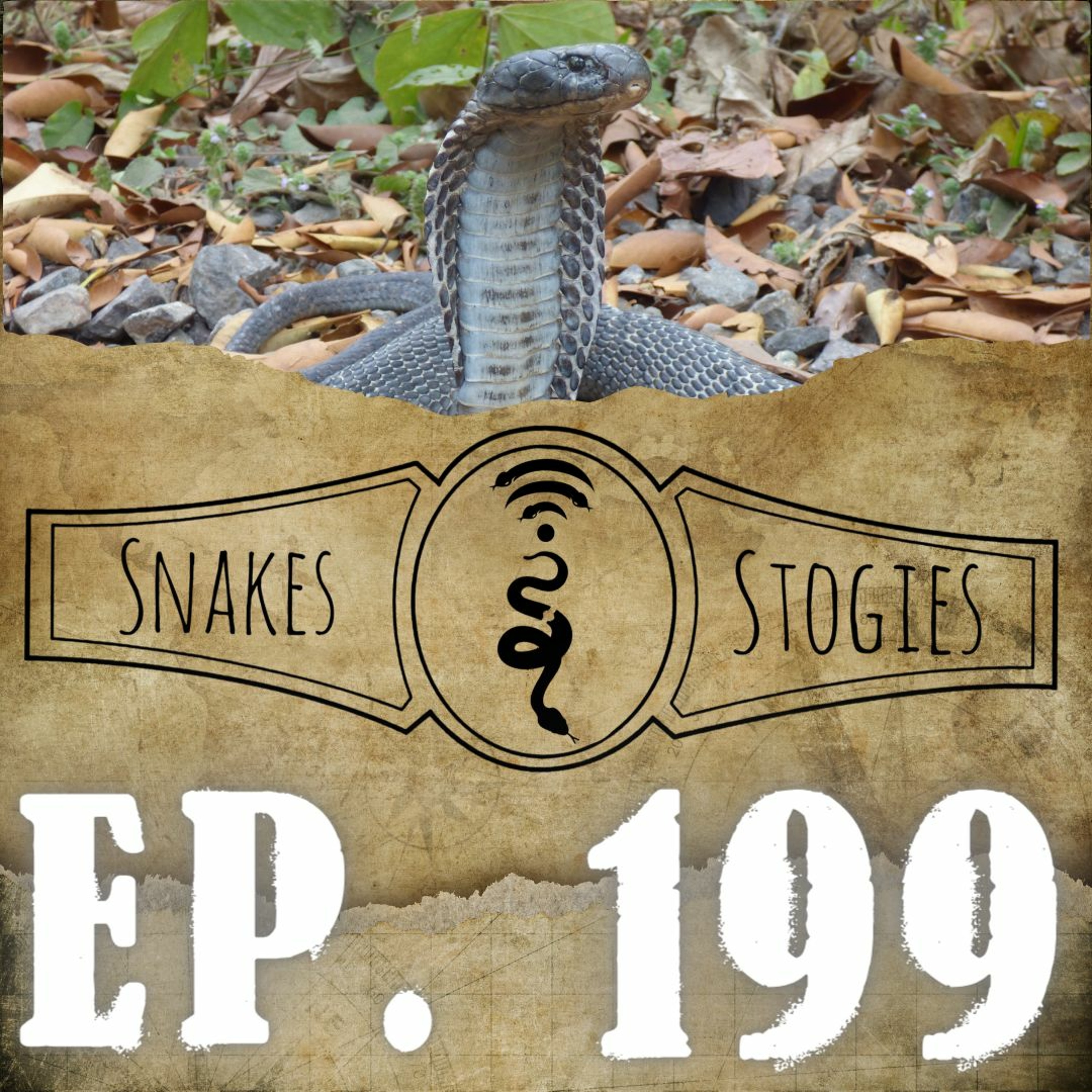 Andaman & Nicobar Islands | Snakes & Stogies Ep. 199