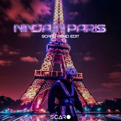 NINJA IN PARIS (SCARO ADHD EDIT) [FREE DL]