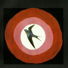 Flex Lavender -  Untitled #1