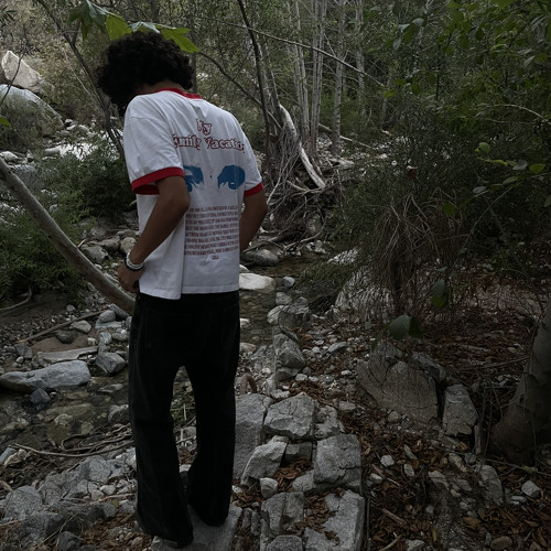 idk what i’m doing (insanito)