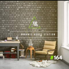 Zen Organic House #164 - Melodies for the Mind | 🛋️ Deep Focus dj mix session 慢摇