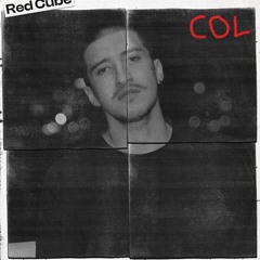 CANICULE // RED CUBE SAVAGE // HUM 6 YEAR ANNIVERSARY 29.6.04