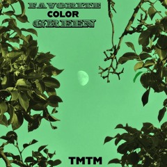 Favorite Color Green (Lil Flip Flip)