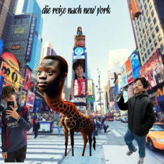 Chinesisches Quarter zip (ft.SKRTS)