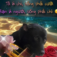 Ai Làm Em Phải Khóc - Ducth Music Remix