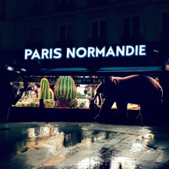 Cactus Et Mammuth - Paris Normandie