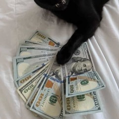 stay that way i like it