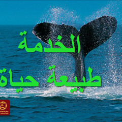 يا يونان الخدمة طبيعة حياة | كنيسة باسادينا الإنجيلية | ق. ماهر مقار