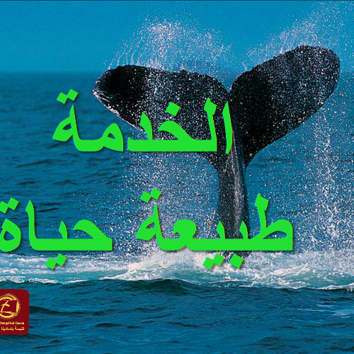 يا يونان الخدمة طبيعة حياة | كنيسة باسادينا الإنجيلية | ق. ماهر مقار