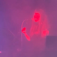 Niche // Live set // 2024.12.14