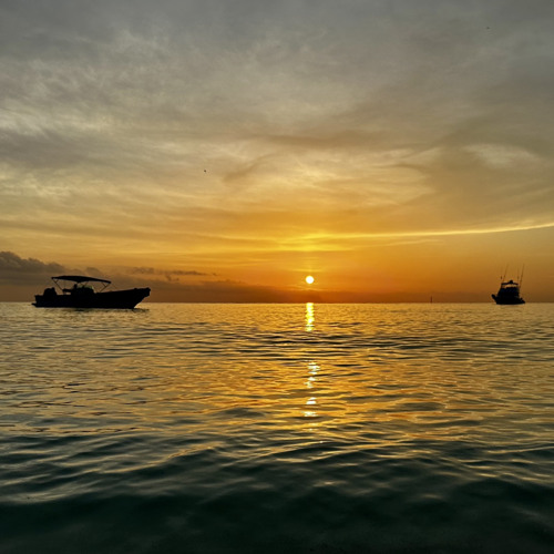 Vanjee - Los Roques Experience