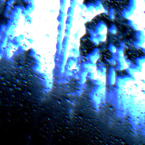Todo Comenzó con la Lluvia