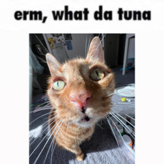 FROOTIE- Tuna Can (Joon. Remix) (VV Re-remix)