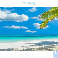 TEG - Wish (Original Mix)