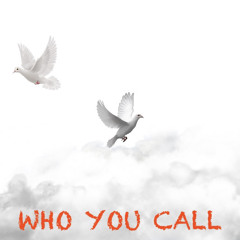 Who you call