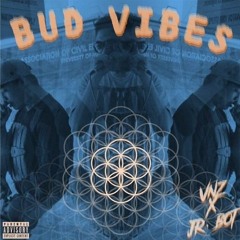 For Example - Bud Vibes