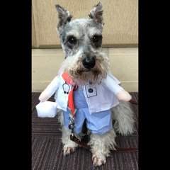 My Therapist Has A Wet Nose
