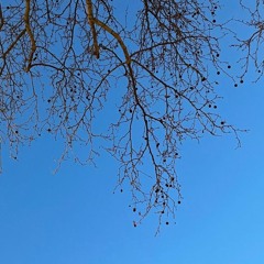 10 Feb