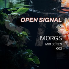 Morgs at Open Signal (13-12-24)