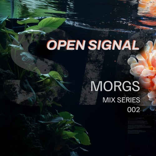 Morgs at Open Signal (13-12-24)