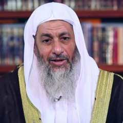 السيرة النبوية - (9) - عناد أهل الكفر لرسول الله - الشيخ مصطفى العدوي