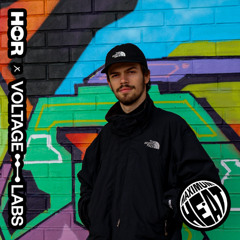 HÖR X VOLTAGE LABS - Maximum Heat - ANI-L8