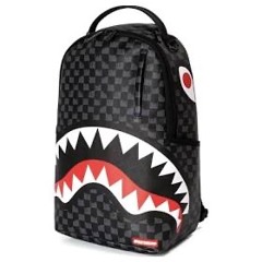 Sprayground