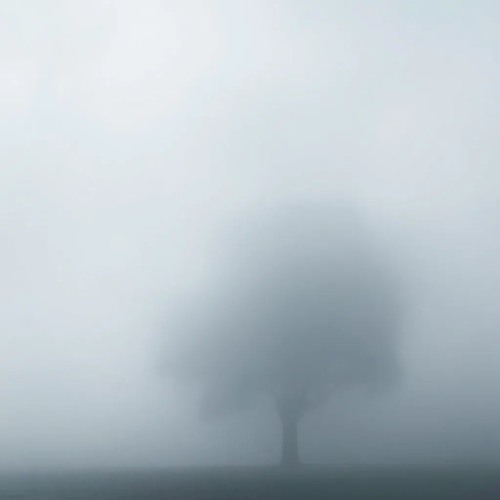 Fog of Emptiness.mp3