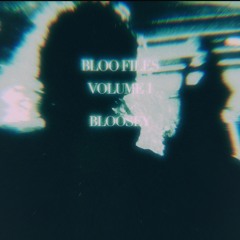 BLOO FILES VOL 1 //2021 ~ 2025//