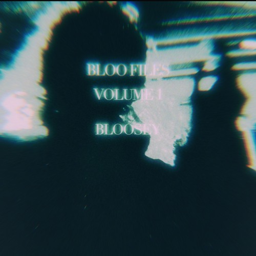 BLOO FILES VOL 1 //2021 ~ 2025//