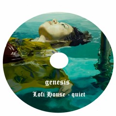 Lofi House - Quiet