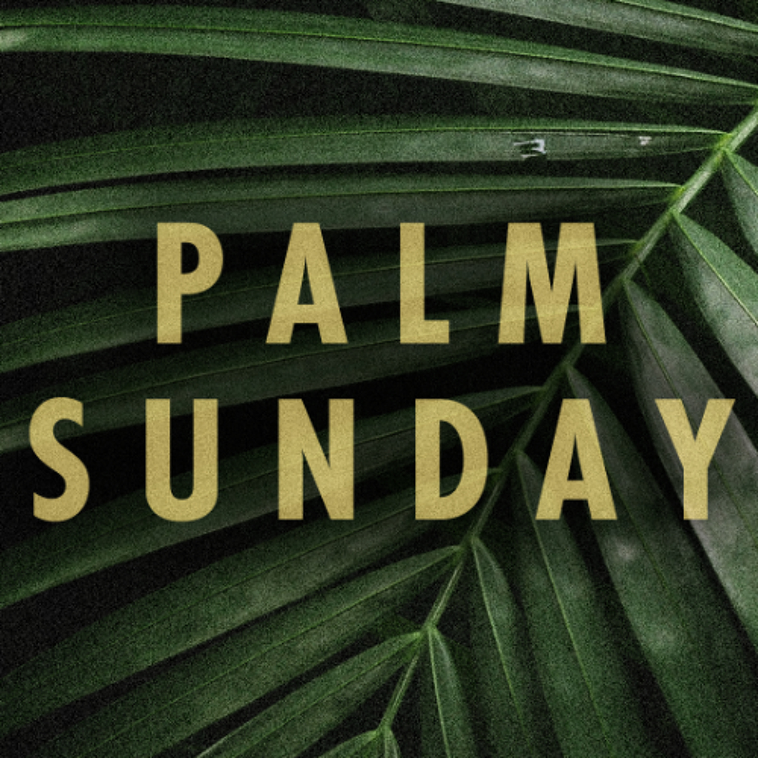 Palm Sunday 2026 episode artwork