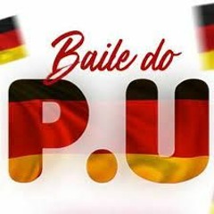 MC LEON - TROPA DO PU (NINGUEM TE FORÇOU) PROD. DJ LUNA