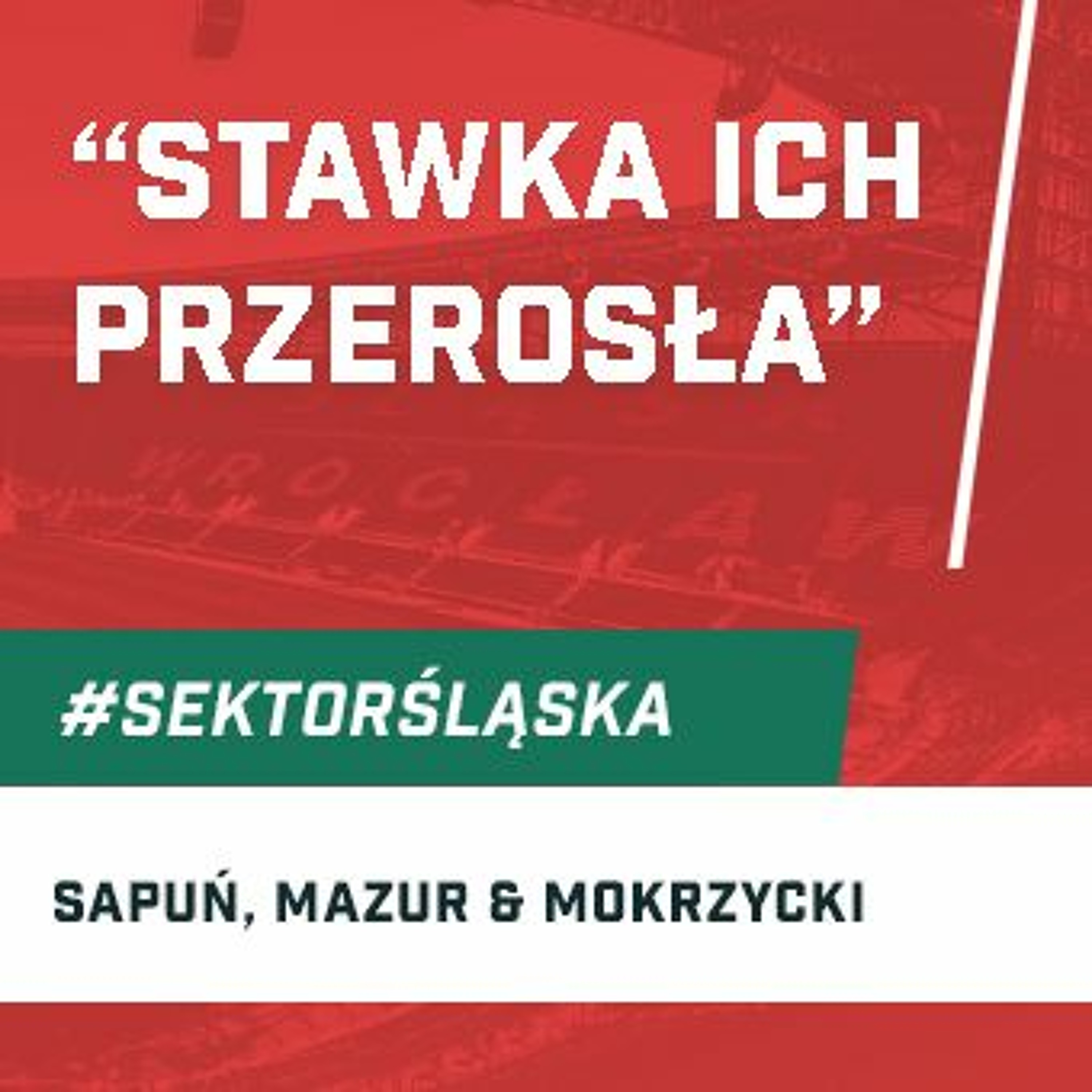 Śląsknet