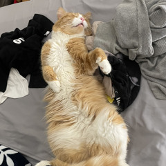 slylag-jerk trap ( feat. JT300! )