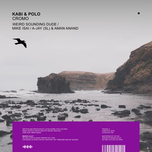 KABI & POLO Cromo (Weird Sounding Dude Remix)