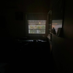 Morning Fog