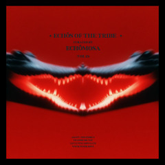 EchöMosa - Echos of The Tribe 013