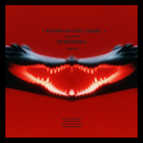 EchöMosa - Echos of The Tribe 013