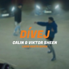 Calin & Viktor Sheen – Dívej (Ladis Beats Remix)