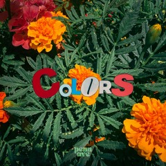 Colors
