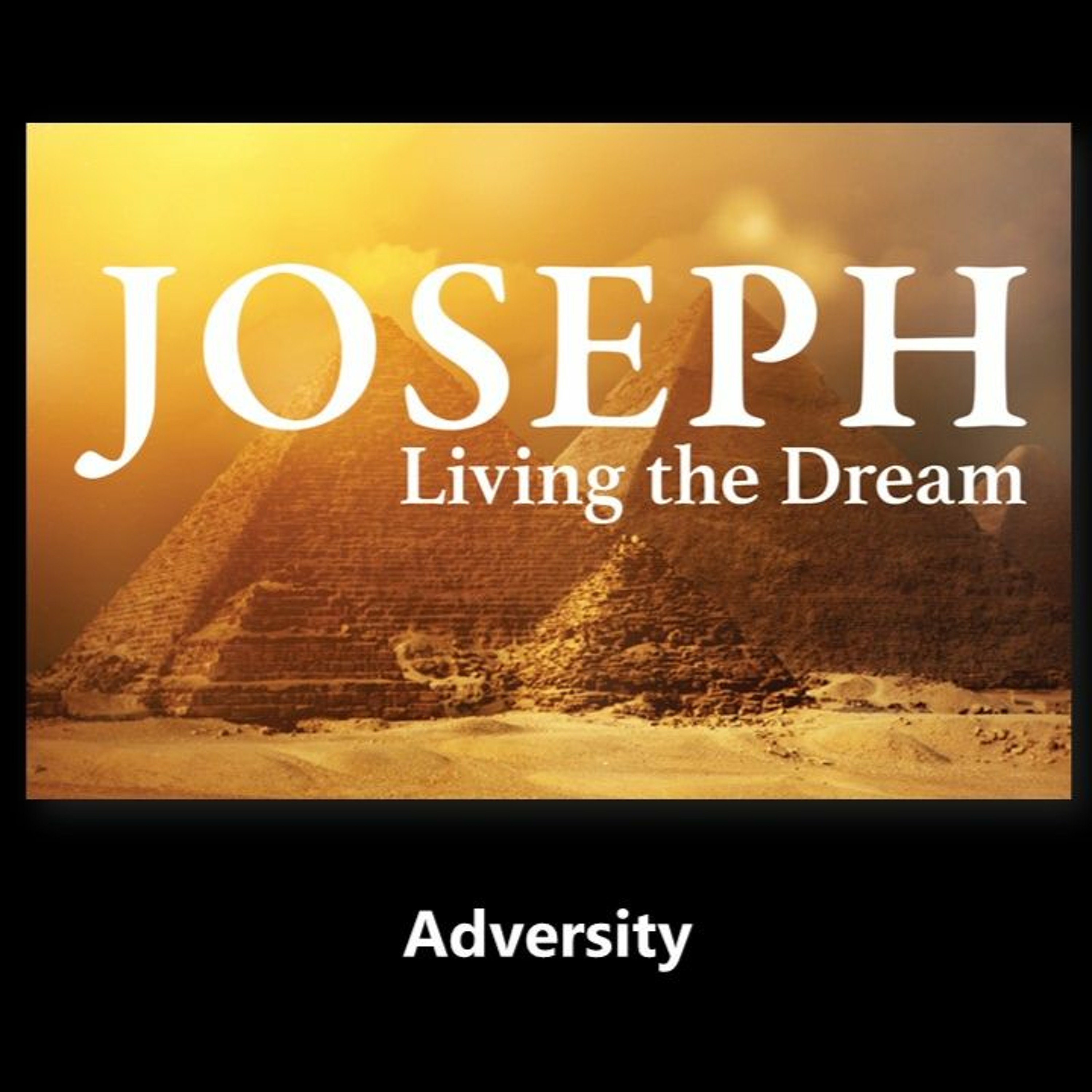 Joseph Living the Dream: Adversity, June 7, 2020 episode artwork