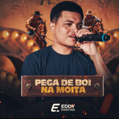 Pega de boi na moita
