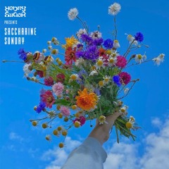 Saccharine Sunday - August 2023