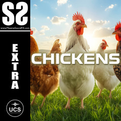 Extra Chickens | Demo