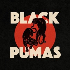 Black Pumas - Colors (DiPap Remix)