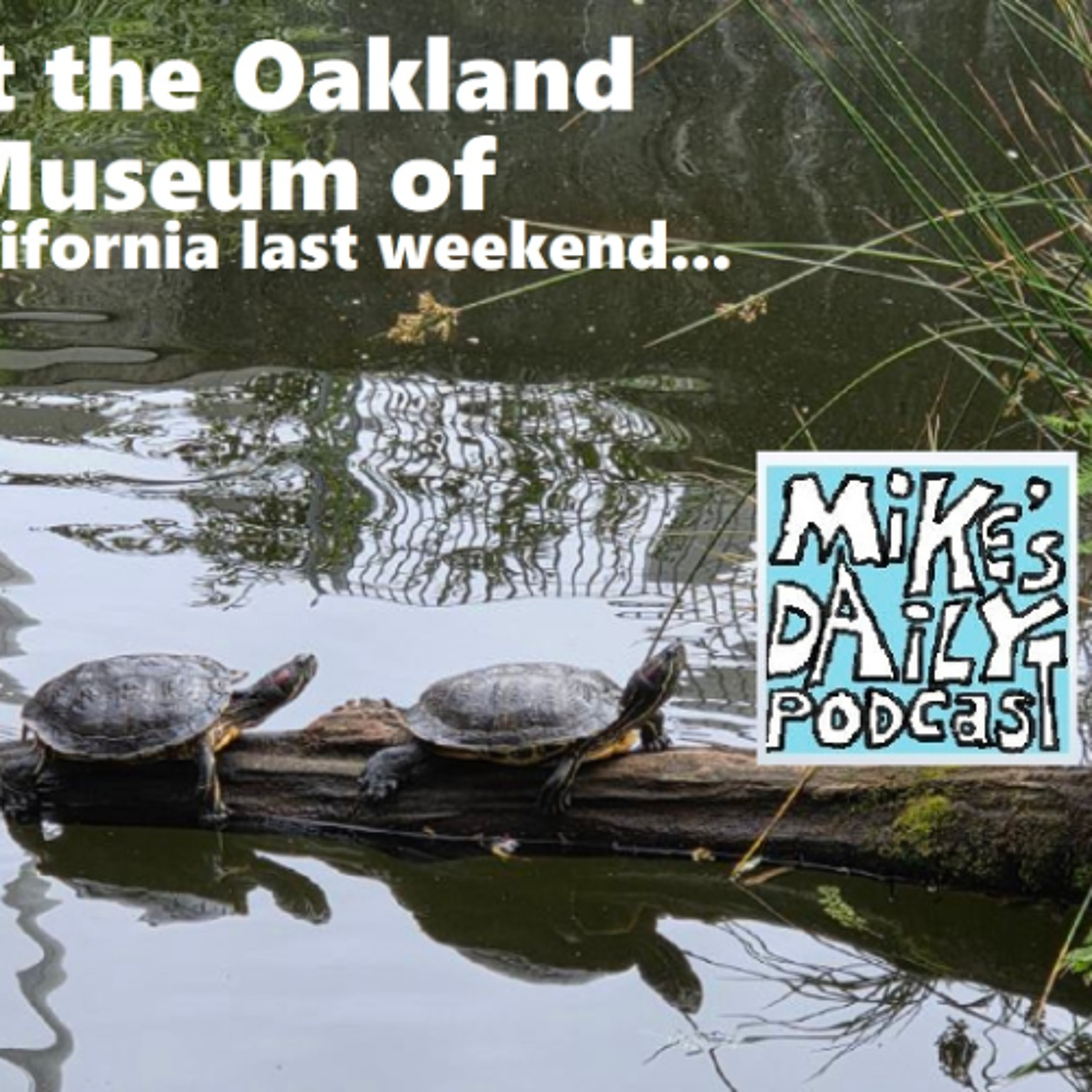 MikesDailyPodcast 3303 Partook episode artwork