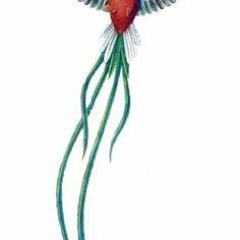 Manuel Plectro en la terraza